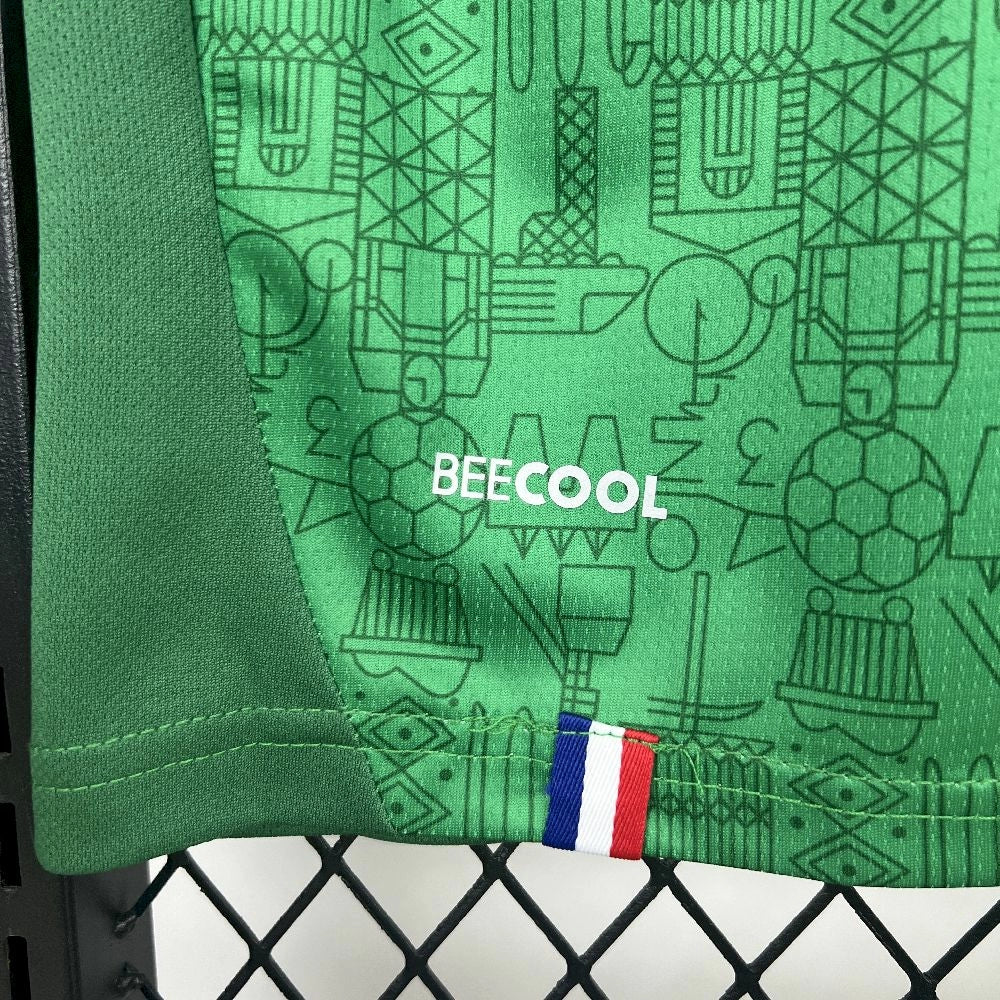 Saint Etienne Principal 2025/2026