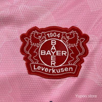 Bayer Leverkusen Alternativa 2025/2026
