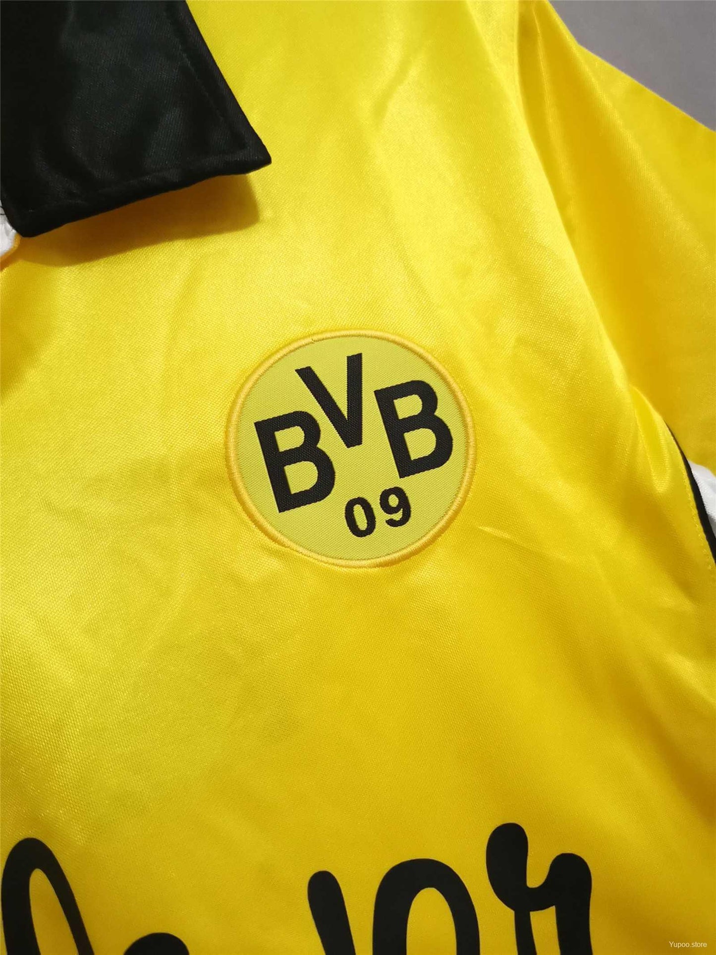 Dortmund Principal 1998/1999