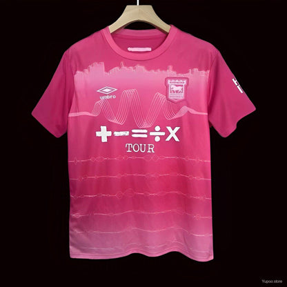 Ipswich Town Rosa 2024/2025