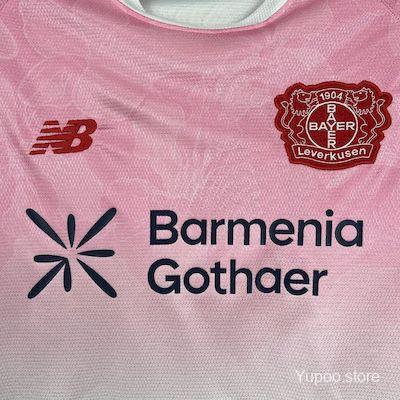 Bayer Leverkusen Alternativa 2025/2026