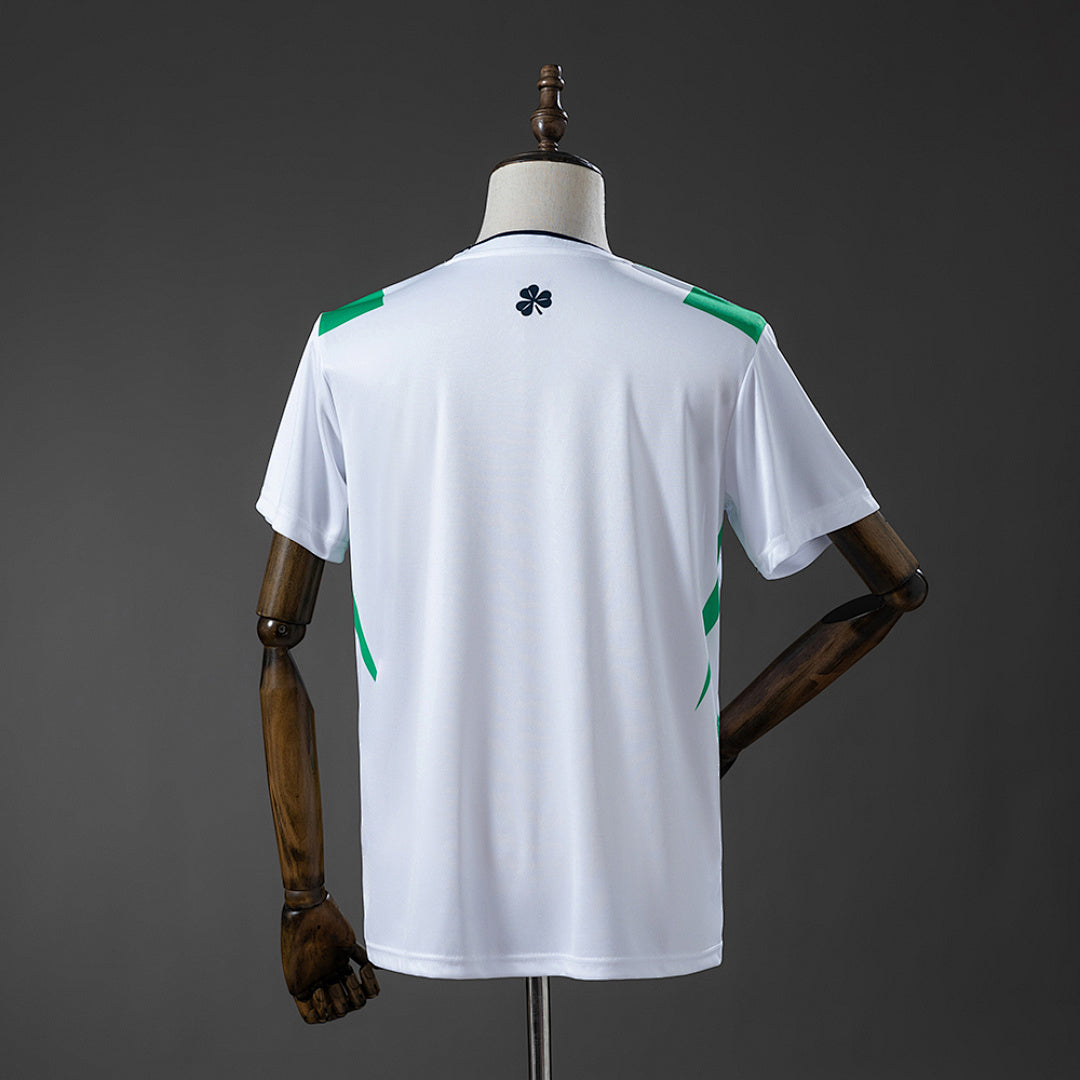 Irlanda Alternativa 2026
