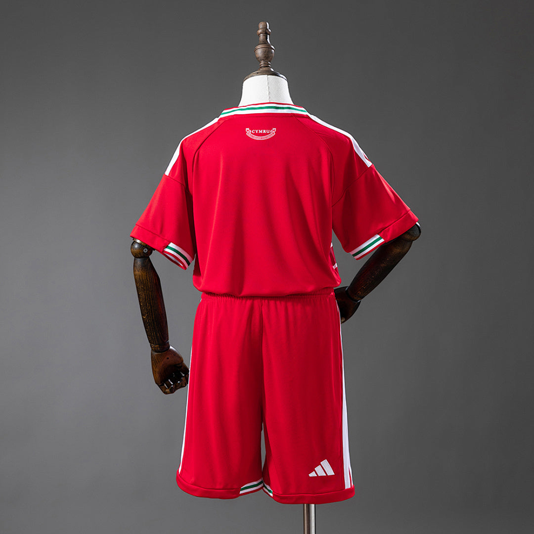 Kit Pais de Gales Principal 2026