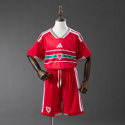 Kit Pais de Gales Principal 2026