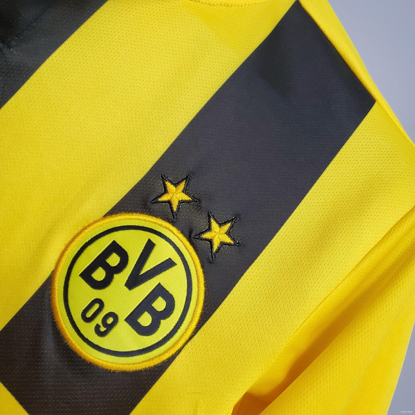Dortmund Principal 2012/2013